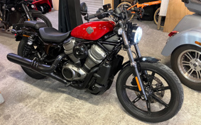 HARLEY RH975 NIGHT STAR 2024 ZH1