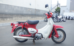 HONDA LITTLE CUB C50