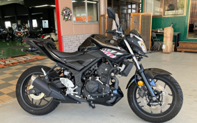 YAMAHA MT-25 RG43J