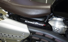 TRIUMPH SCRAMBLER 1200 XC 2019