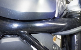 HUSQVARNA SVARTPILEN 250