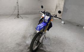 YAMAHA WR250R DG15J