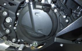 KAWASAKI NINJA 250 2