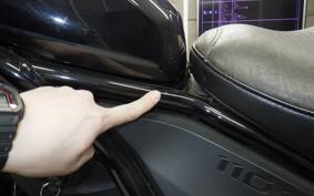 HONDA REBEL 1100 DCT 2021 SC83