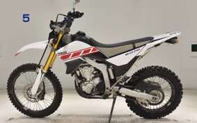 YAMAHA WR250R 2021 DG15J
