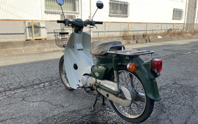 HONDA SUPER CUB50 C50