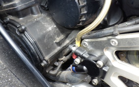 KAWASAKI ZX 10 NINJA 1988 ZXT00B