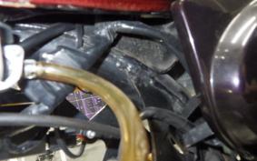 HONDA MONKEY 2020 Z50J