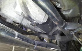 KAWASAKI Z250 Limited 2022 KZ250H