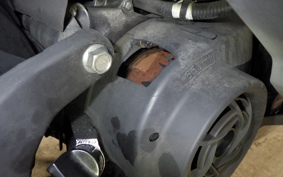 SUZUKI ADDRESS V125 2021 DT11A