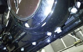 HARLEY FLHXSE1980CVO 2024