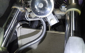 YAMAHA YZF-R25 2006 RG10J