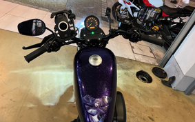 HARLEY XL883N 2014 LE2