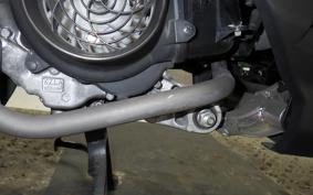 HONDA ZOOMER-X 2020 JF52