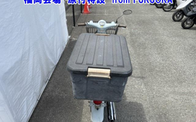 OTHER  LITTLE CUB -E FI