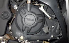 YAMAHA YZF-R25 2006 RG10J