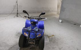 OTHER  BUGGY 50CC ..