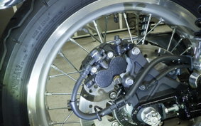 KAWASAKI W800 2024 EJ800E