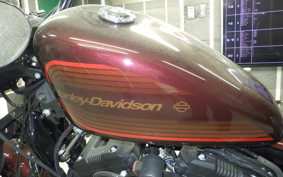 HARLEY XL1200NS 2019