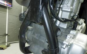 YAMAHA WR250X DG15J