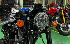 HARLEY XL1200CX 2019 LM3