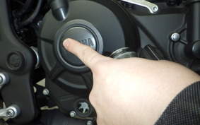 YAMAHA MT-25 A 2017 RG74J