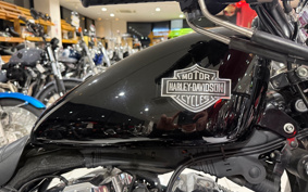 HARLEY XL1200C 2007 CT3