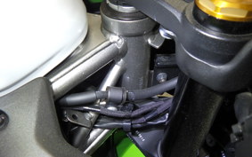 KAWASAKI ZX-4RR40TH 2024 ZX400P