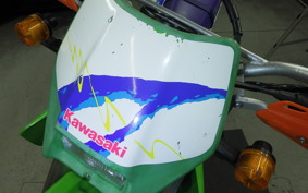 KAWASAKI KLX250 SR