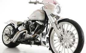 HARLEY FLSTF1340-1450 1998 BML