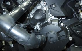 BMW S1000XR 2021