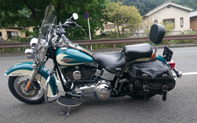 HARLEY FLSTC 2008 BW5