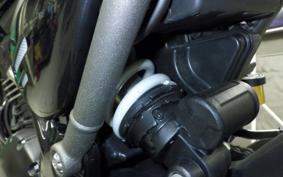 TRIUMPH SPEED 400 2024