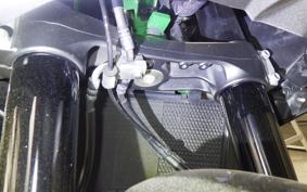 KAWASAKI ZH2 2020 ZRT00K