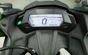 KAWASAKI NINJA 250 SL