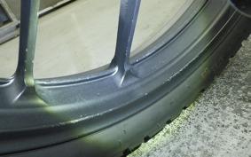 SUZUKI Vｽﾄﾛｰﾑ250SX 2012 EL11L