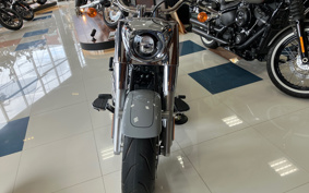 HARLEY  HARLEY FLFBS 2025 YGK