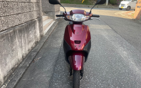 HONDA MANY CTOR AF79