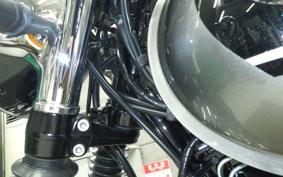 KAWASAKI W800 2025 EJ800E