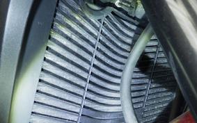 YAMAHA FZ1 FAZER 2008 RN21J