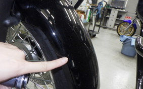 KAWASAKI W800 STREET 2022 EJ800E