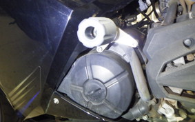 KAWASAKI NINJA 250 EX250L