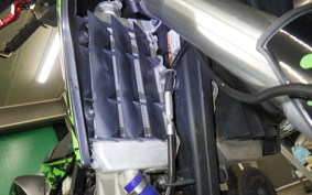 KAWASAKI KLX250D TRACKER X 2024 LX250V