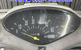 HONDA DIO CHESTER