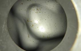 HONDA STEED 400 1992 NC26