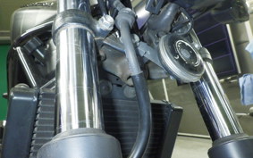 HONDA VTR 250 Gen. 2 2015 MC33