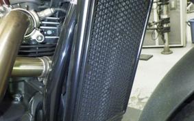 TRIUMPH SCRAMBLER 900 2023