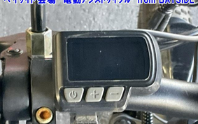 OTHER DENDOU ASSIST JI TON  CAR 