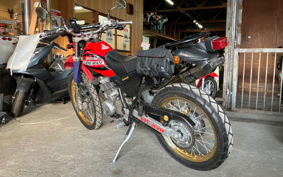 KAWASAKI SUPER SHERPA KL250G