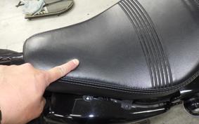 HARLEY XL1200X 2020